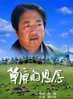 久久九九精品视频